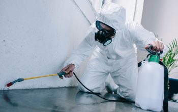 Safeguarding Your Home: Expert Pest Control Services